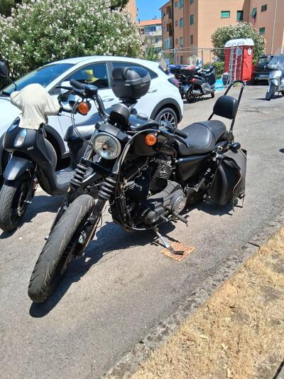 Harley-Davidson 883 Iron (2014 - 16) - XL 883N usata