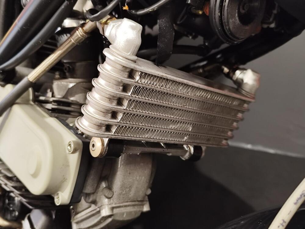 Ducati Monster S2 R (2004 - 07) (19)