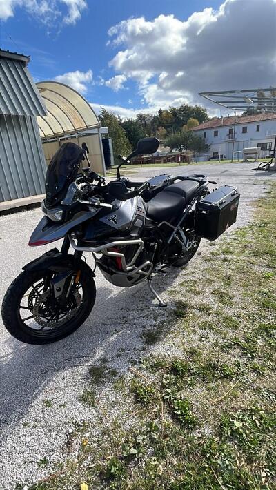 Triumph Tiger 900 GT Pro (2024 - 25) usata