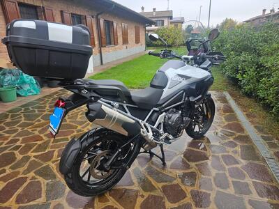 Triumph Tiger 1200 GT Pro (2024 - 25) usata