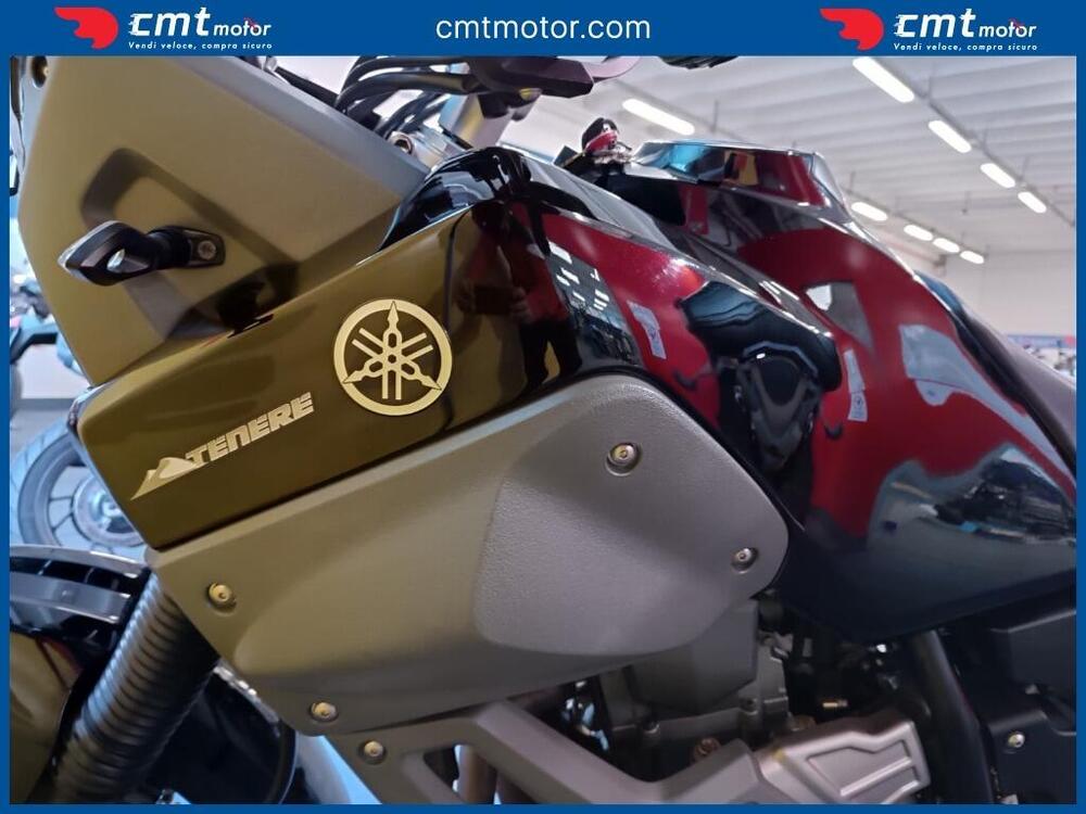 Yamaha XT 660 Z Ténéré (2008 - 16) (8)