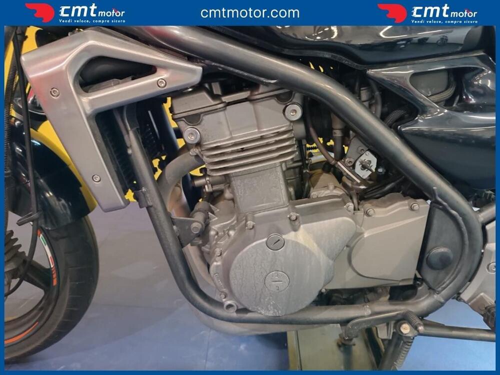 Kawasaki ER-5 500 (2001 - 06) (12)