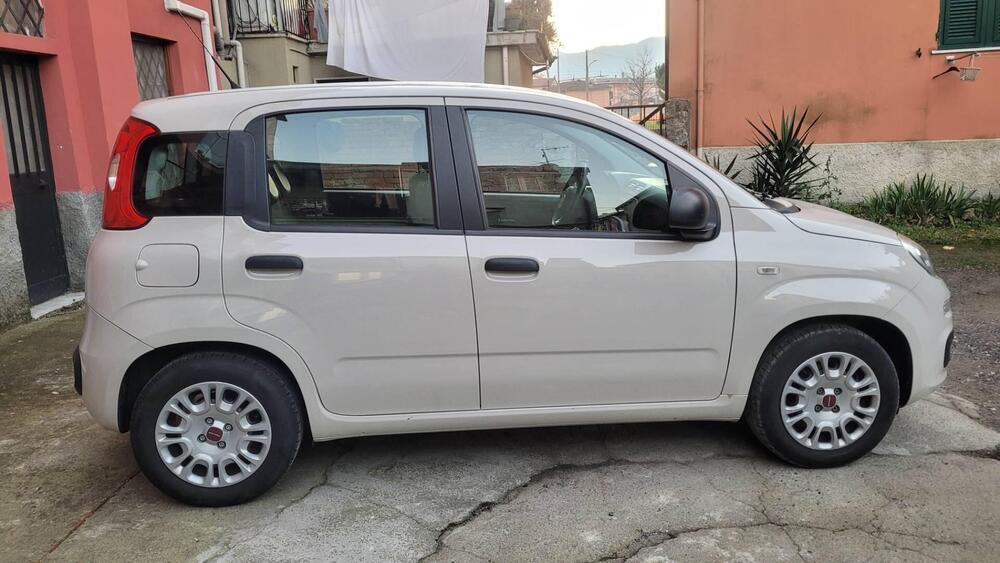 Fiat Panda usata a La Spezia (3)