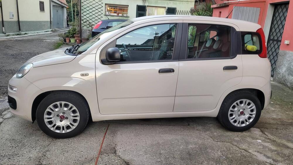 Fiat Panda usata a La Spezia (4)