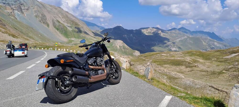 Harley-Davidson 114 Fat Bob (2018 - 20) - FXFBS
