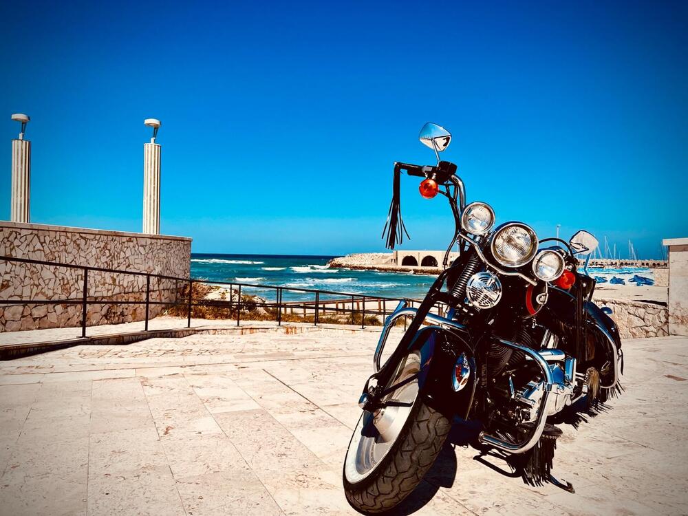 Harley-Davidson 1450 Springer (1999 - 00) - FXSTS (2)