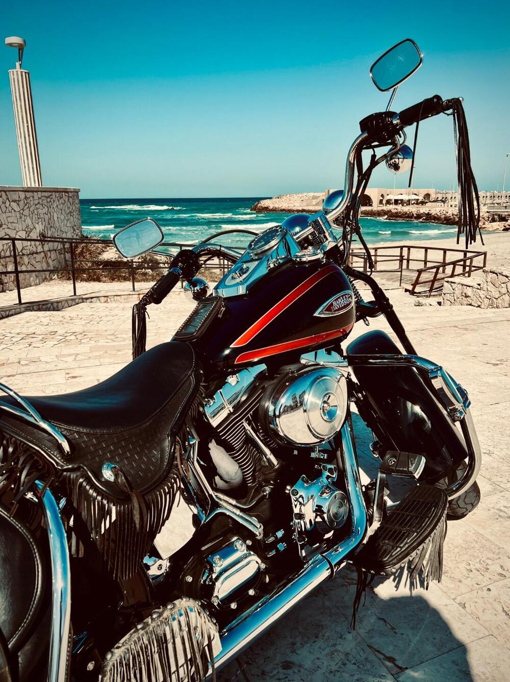 Harley-Davidson 1450 Springer (1999 - 00) - FXSTS (3)