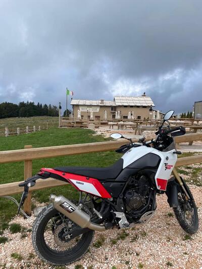 Yamaha T&eacute;n&eacute;r&eacute; 700 (2019 - 20) usata