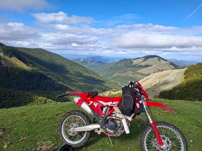 GASGAS EC 350 F (2023) usata