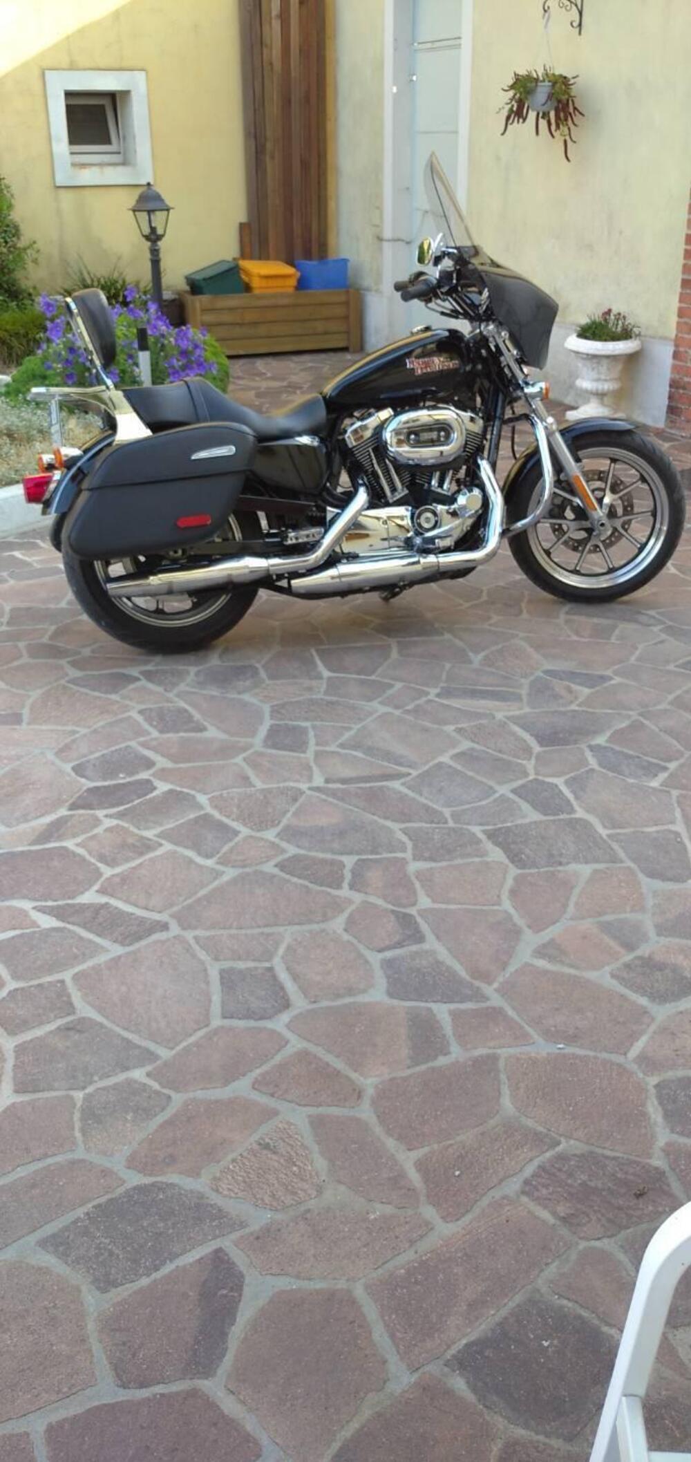 Harley-Davidson 1200 SuperLow (2014 - 16) - XL 1200T (2)