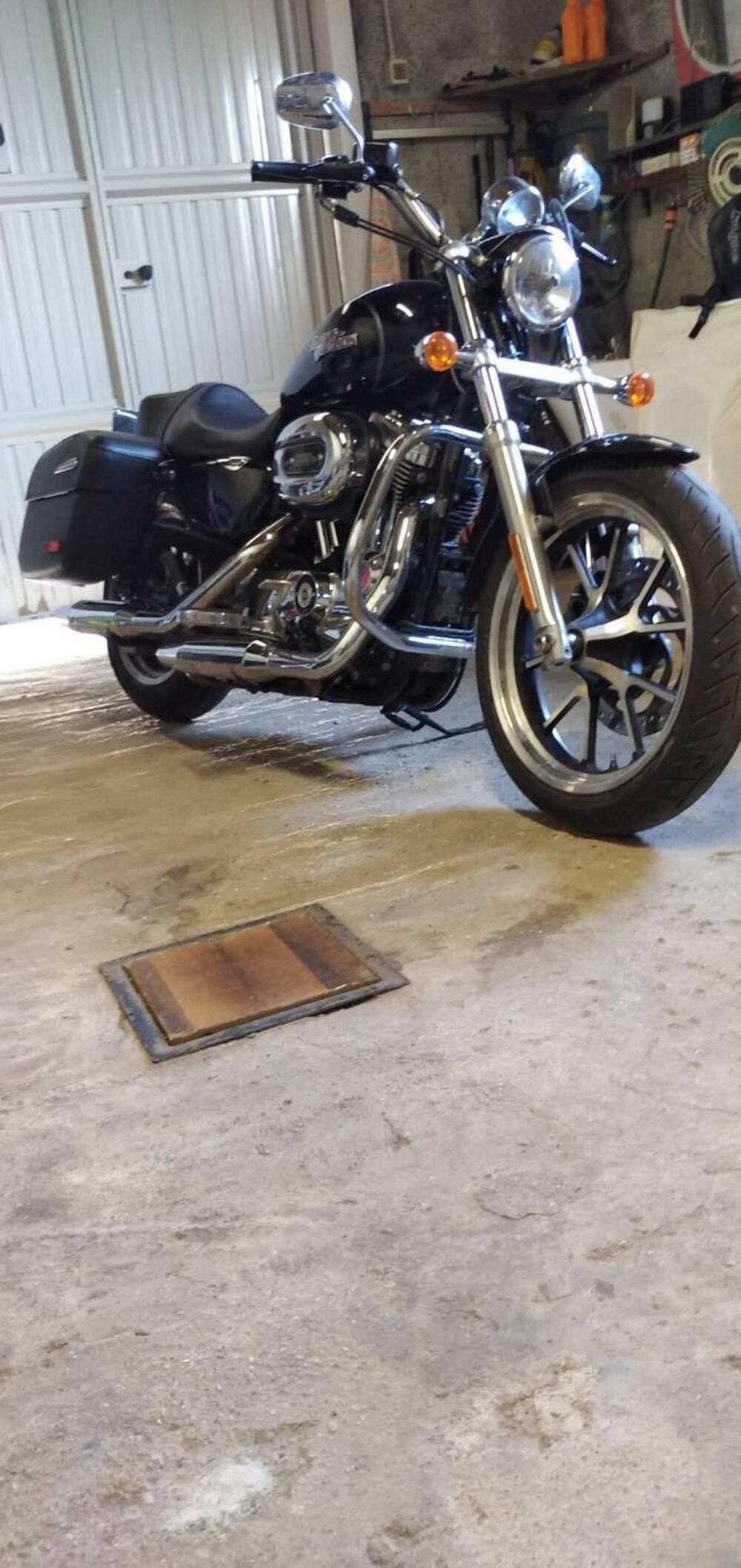 Harley-Davidson 1200 SuperLow (2014 - 16) - XL 1200T (4)