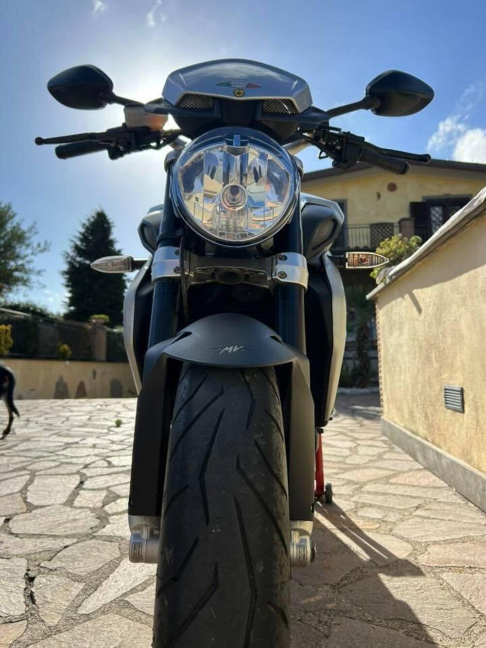 MV Agusta Brutale 800 (2012 - 15) (9)