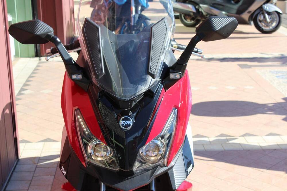 Sym Cruisym 300 (2017 - 20) (3)