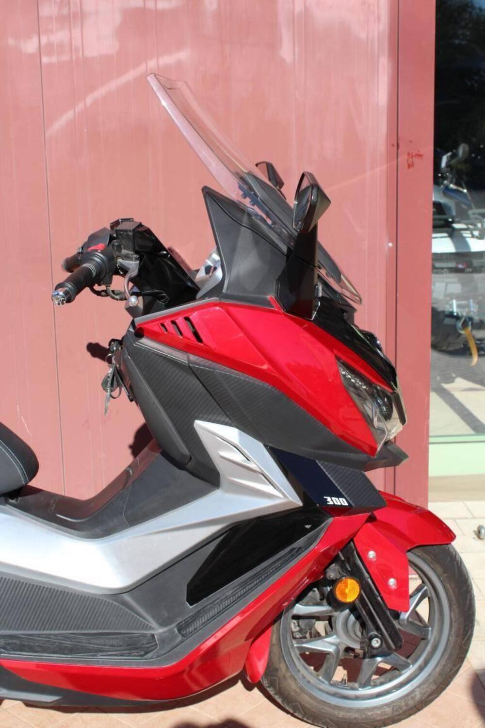 Sym Cruisym 300 (2017 - 20) (7)