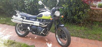 Triumph Scrambler (2006 - 17) usata