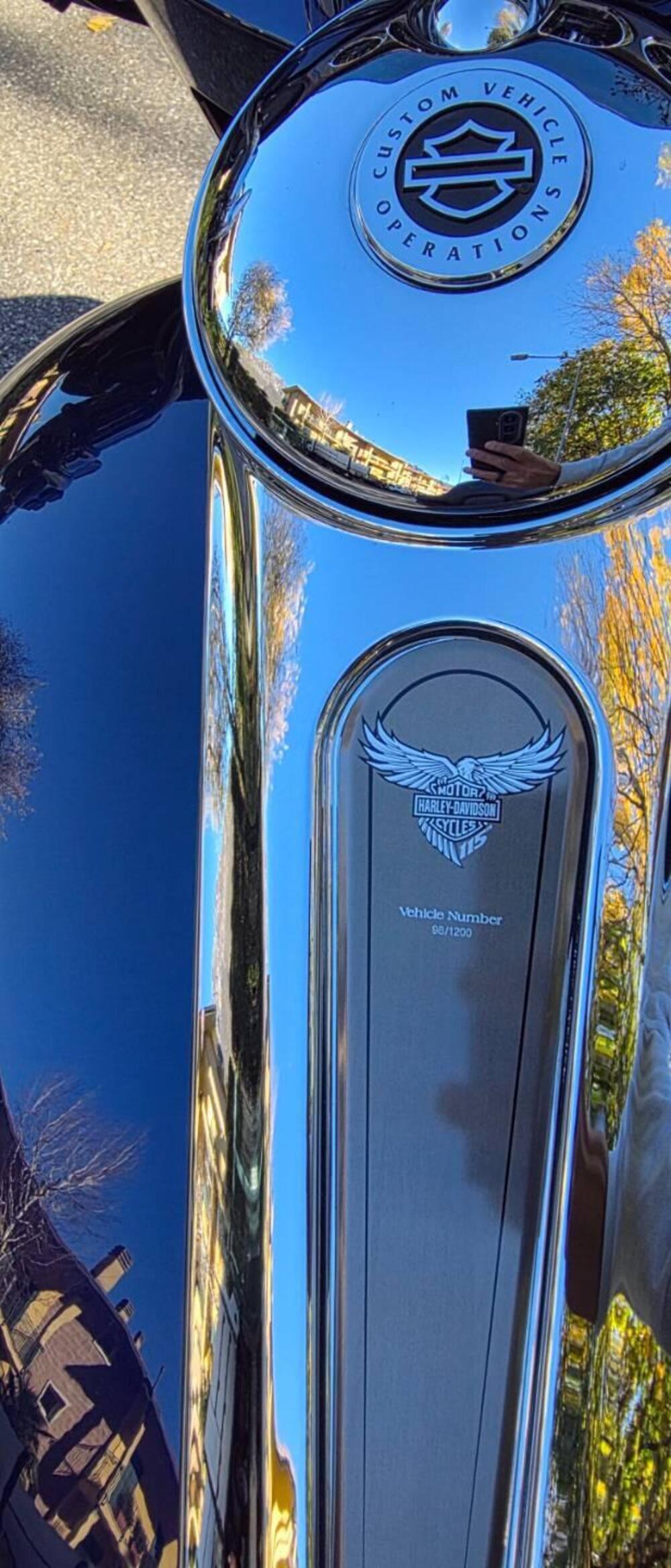 Harley-Davidson 117 Limited (2018 - 20) - FLHTKSE (19)