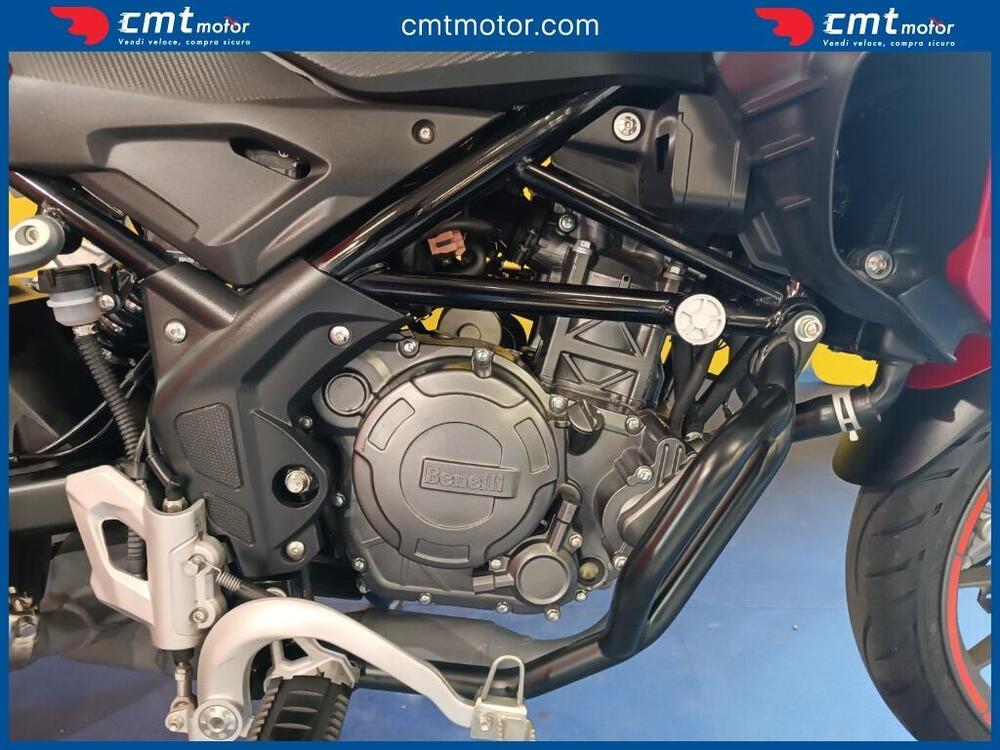 Benelli TRK 251 (2019 - 20) (8)