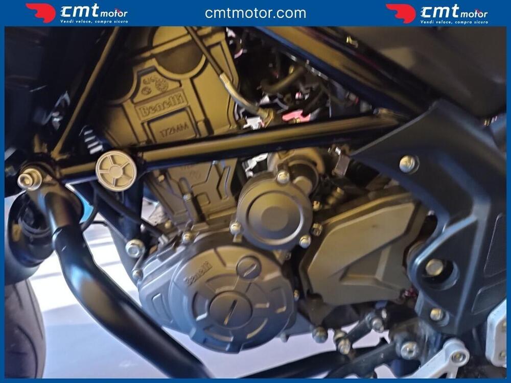 Benelli TRK 251 (2019 - 20) (9)