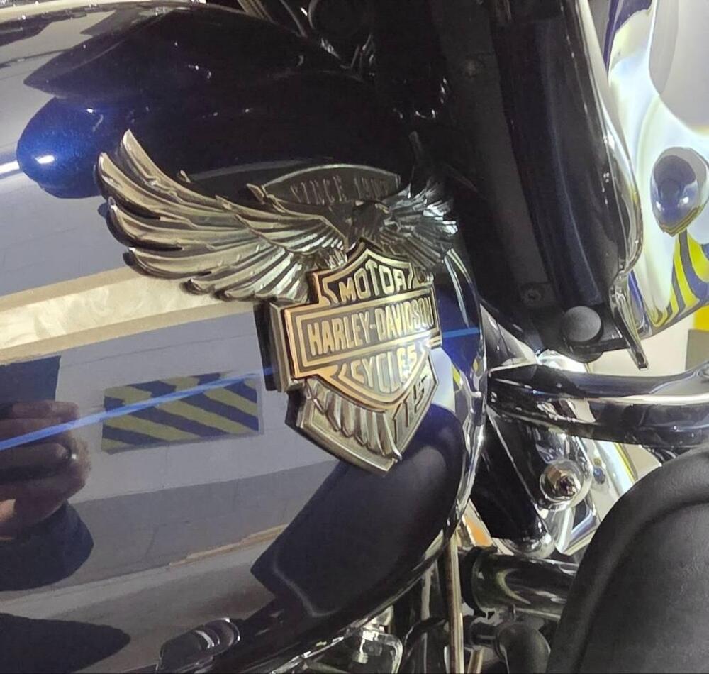 Harley-Davidson 117 Limited (2018 - 20) - FLHTKSE (8)