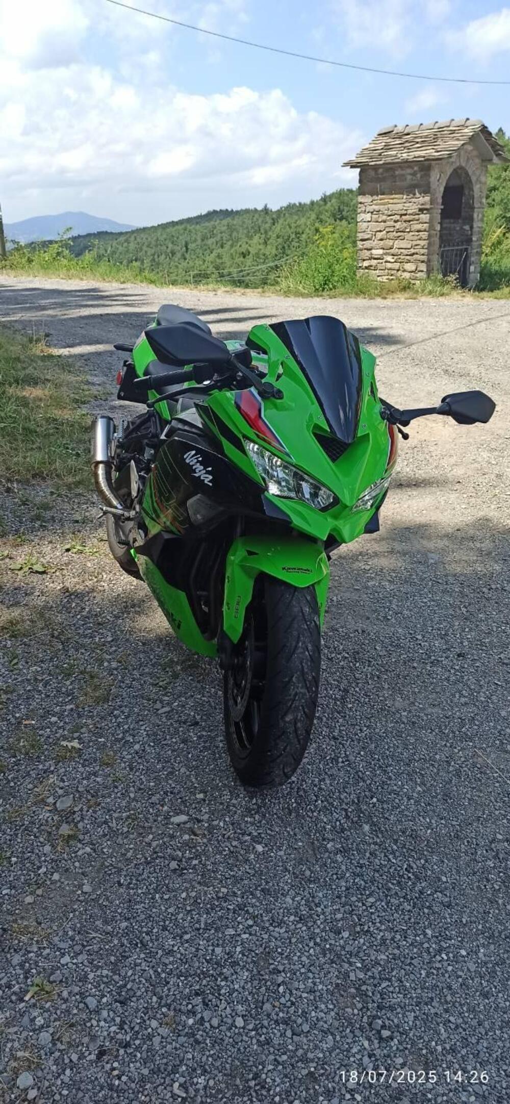 Kawasaki Ninja ZX-4RR (2024 - 26)