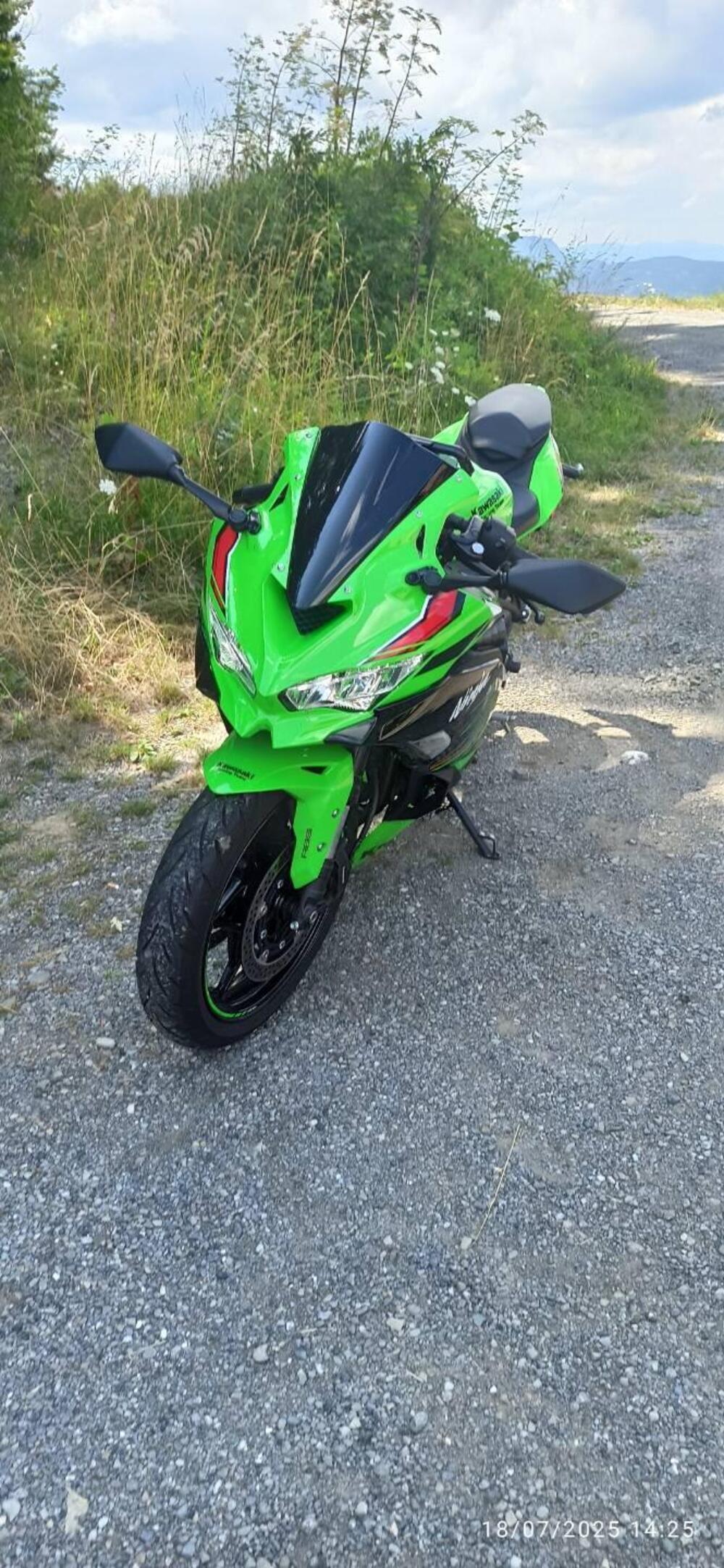 Kawasaki Ninja ZX-4RR (2024 - 26) (3)
