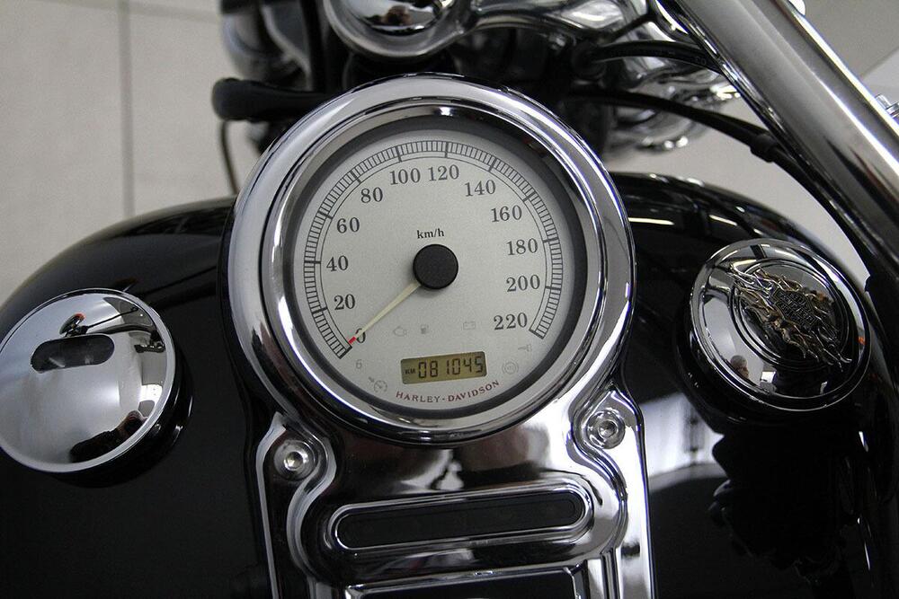 Harley-Davidson 1584 Fat Bob (2007 - 13) - FXDF (9)