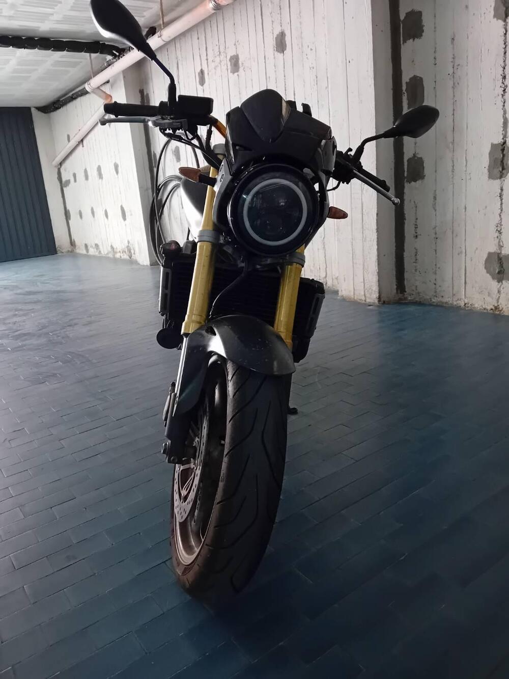 Honda Hornet 600 (2005 - 06) (2)