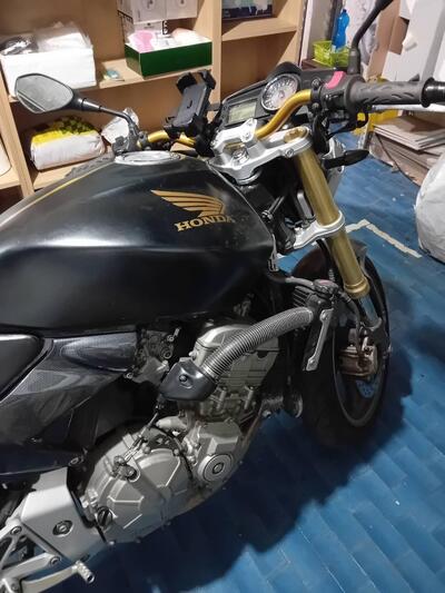 Honda Hornet 600 (2005 - 06) usata