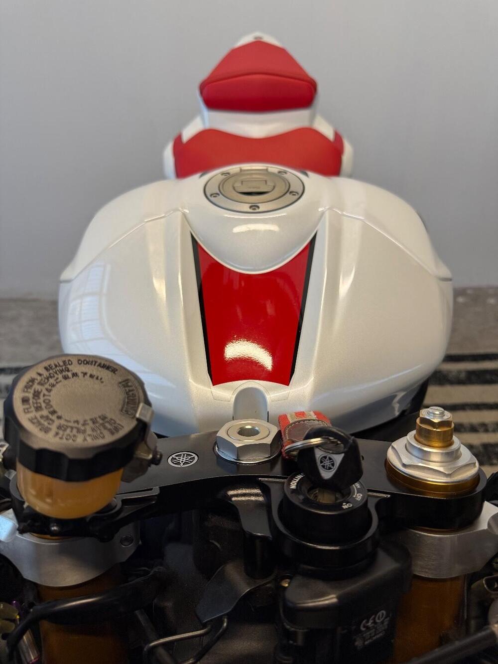 Yamaha YZF R6 (2006 - 07) (13)