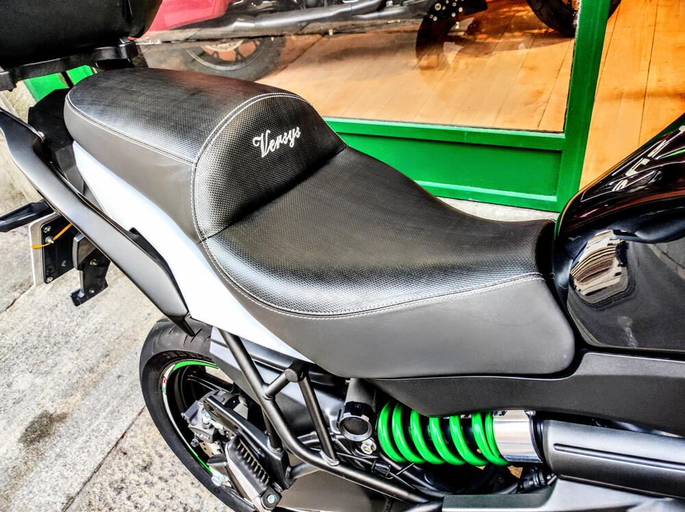 Kawasaki Versys 650 ABS (2015 - 16) (9)
