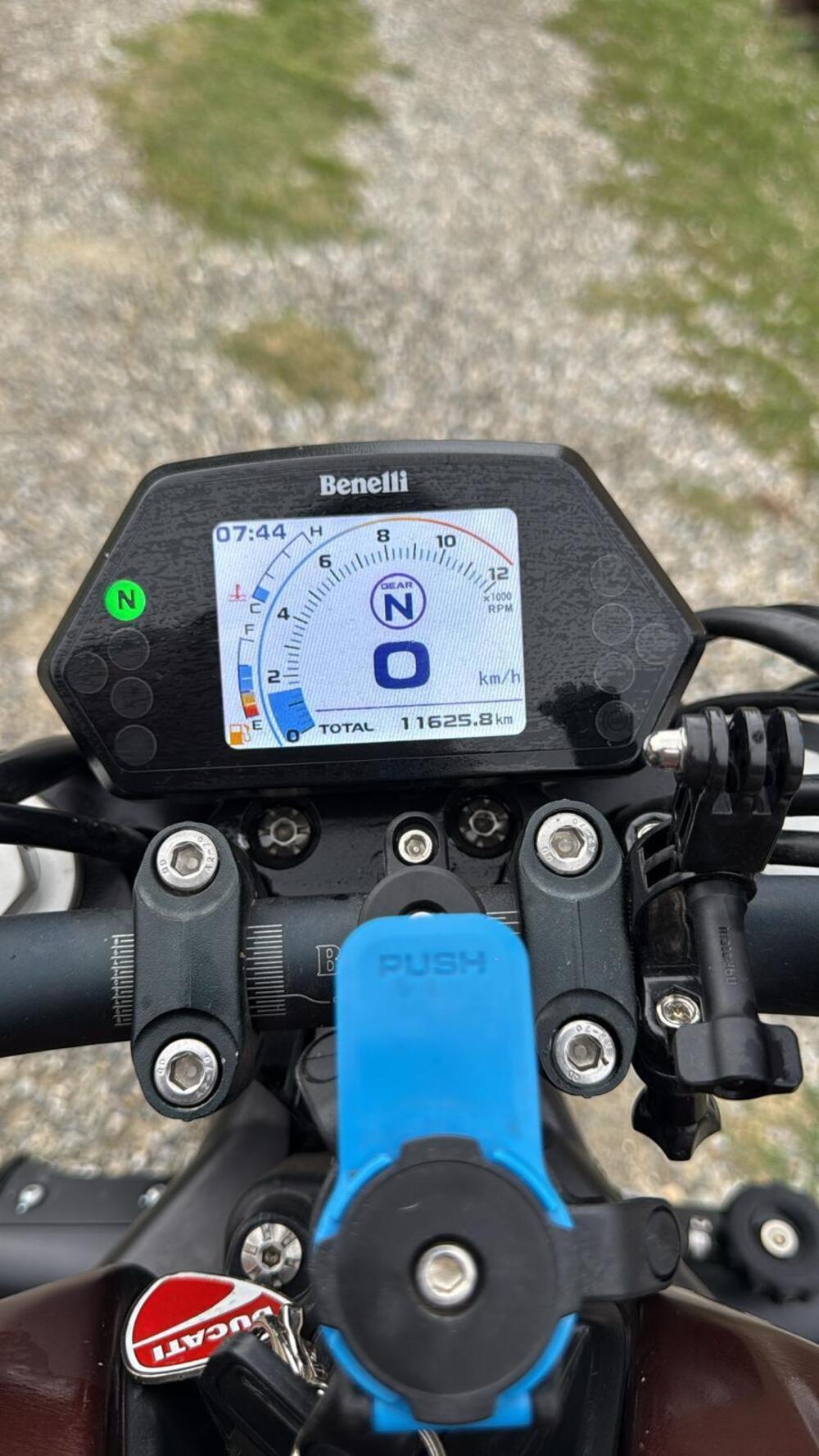 Benelli 502 C (2021 - 25) (3)