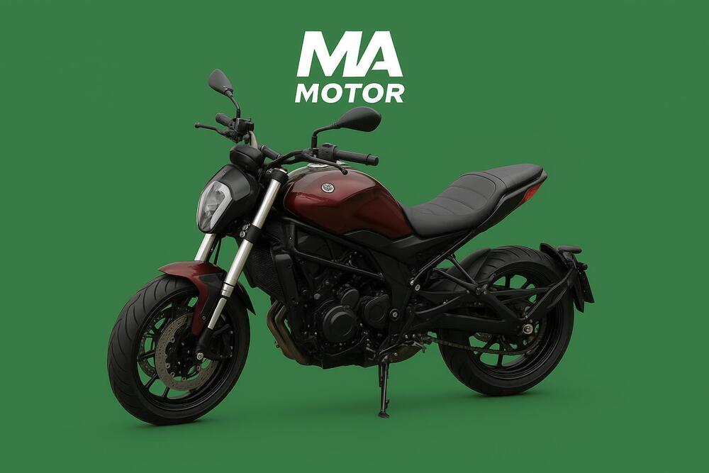 Benelli 502 C (2021 - 25) (5)