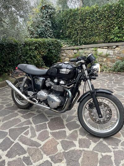 Triumph Thruxton 900 (2004 - 15) usata