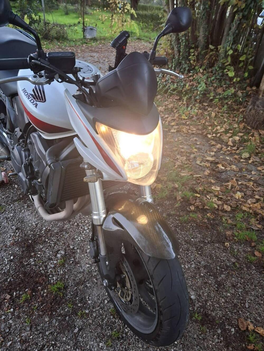 Honda Hornet 600 (2007 - 10) (6)