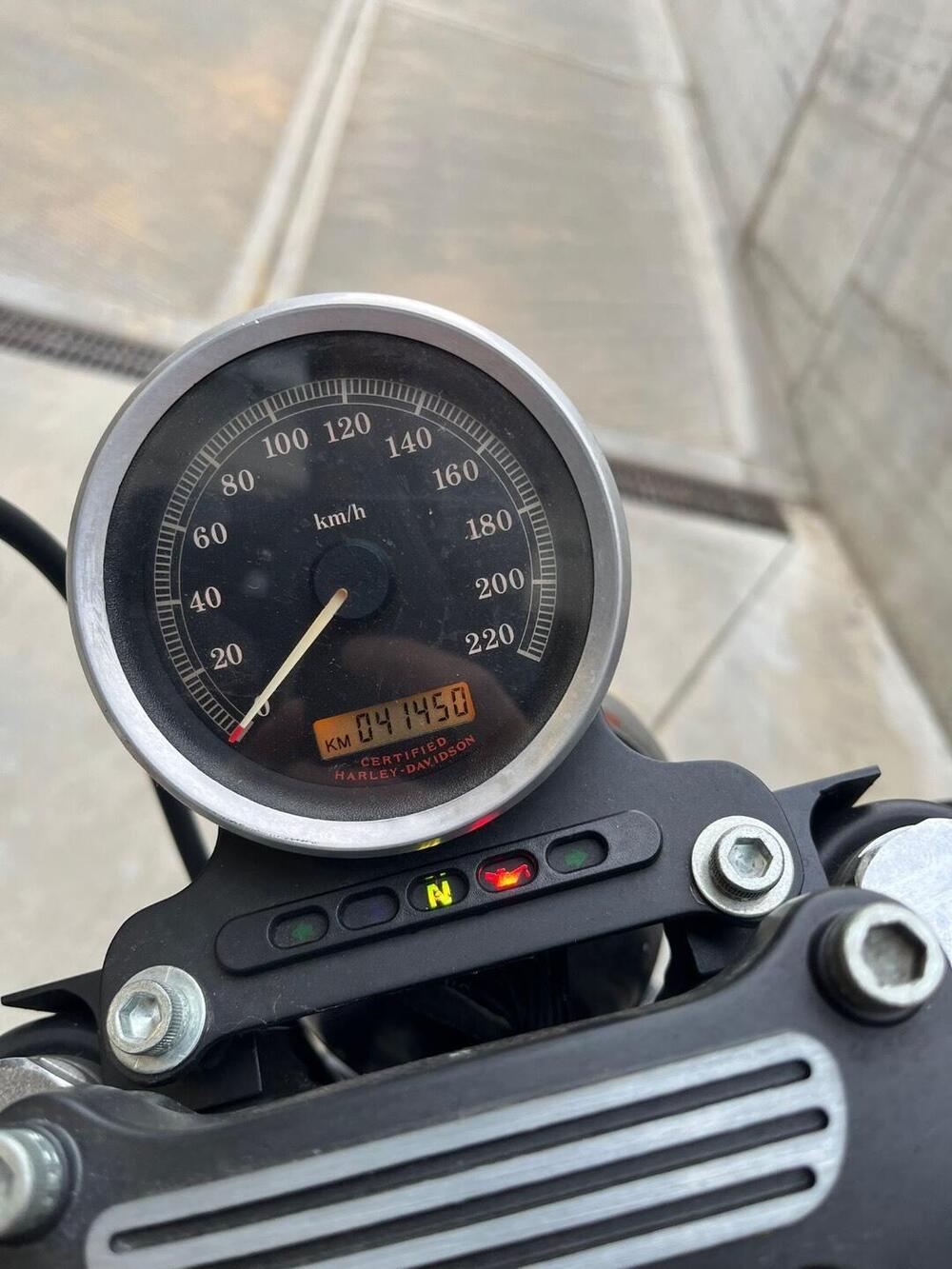 Harley-Davidson 883 (2006 - 07) - XL (2)