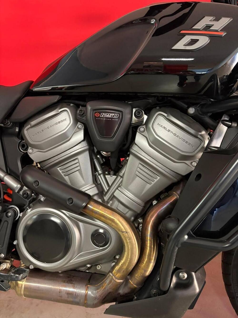 Harley-Davidson Pan America 1250 (2020 - 25) (6)