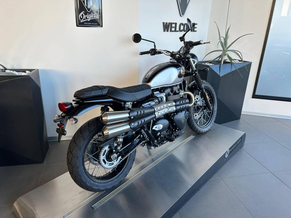 Triumph Scrambler 900 Icon Edition (2025 - 26) (2)