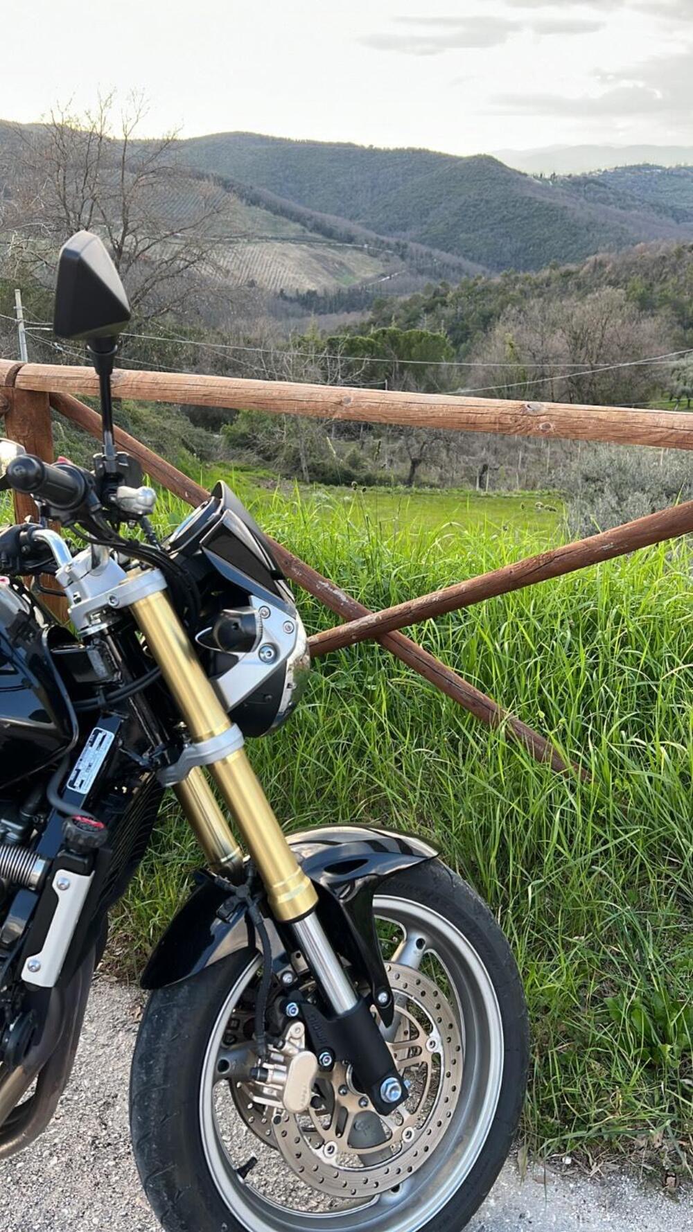 Honda Hornet 600 (2005 - 06) (4)