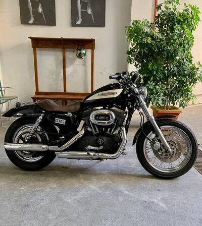 Harley-Davidson 1200 Roadster (2006 - 08) - XL 1200R usata