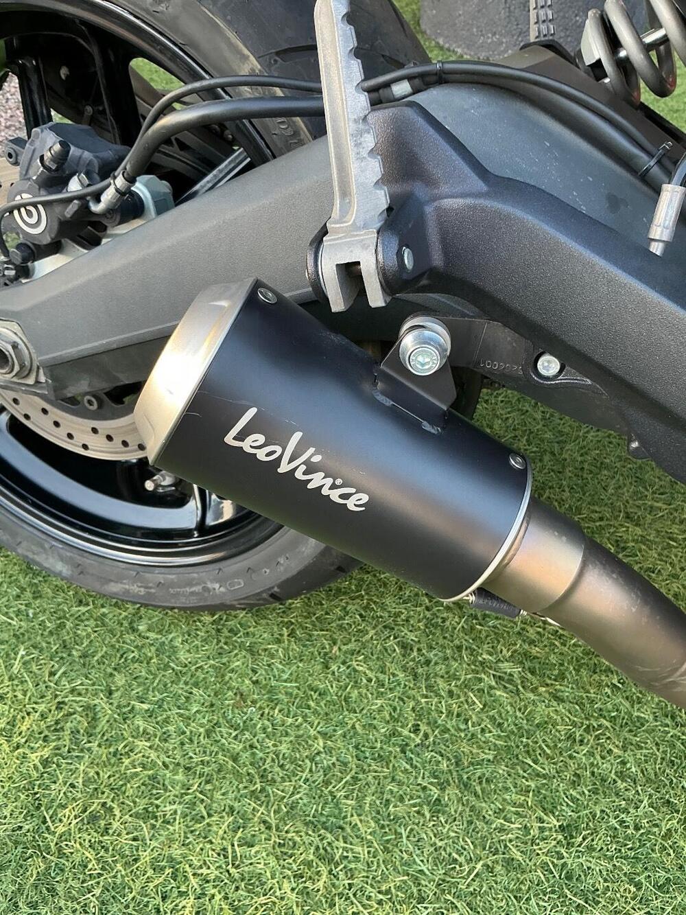 Ducati Scrambler 800 Icon (2015 - 16) (5)