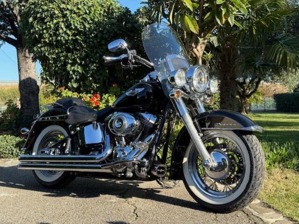 Harley-Davidson 1584 Deluxe (2007 - 08) - FLSTN (3)