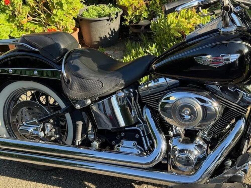 Harley-Davidson 1584 Deluxe (2007 - 08) - FLSTN (5)