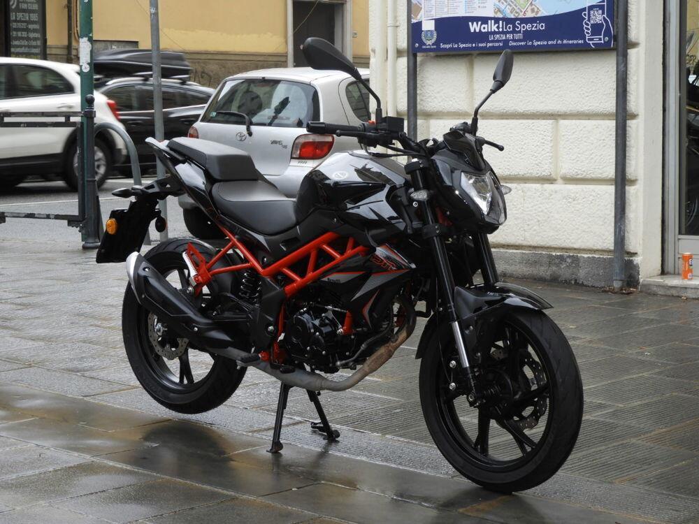 Benelli BN 125 (2021 - 25) (2)