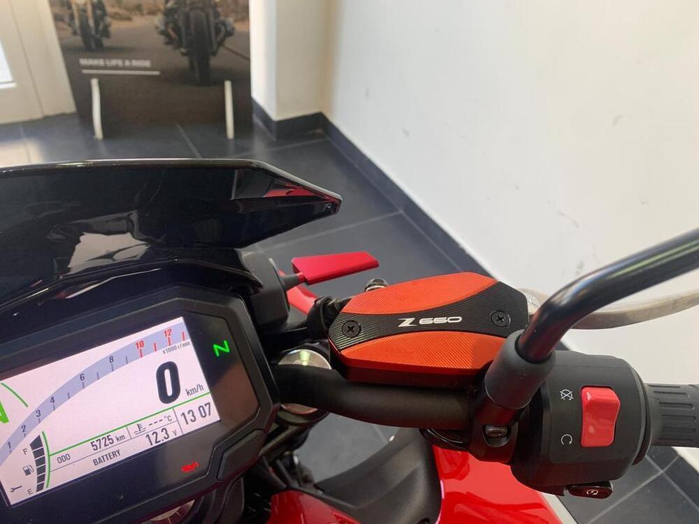 Kawasaki Z 650 50th Anniversary (2022 - 23) (9)