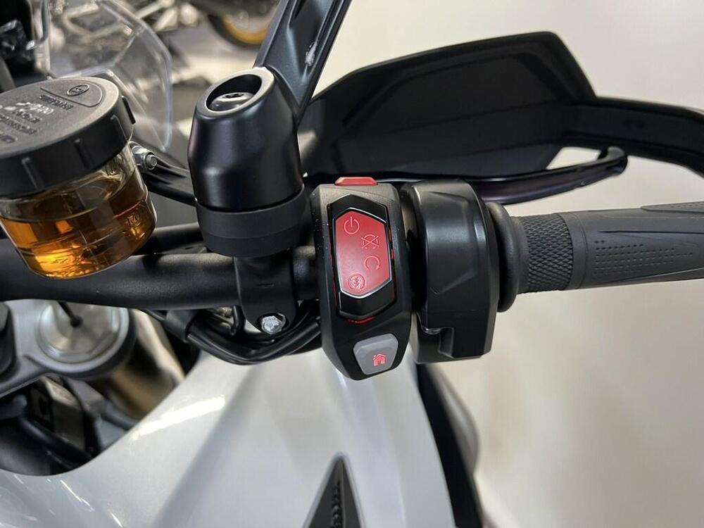 Triumph Tiger 1200 Rally Explorer (2022 - 23) (8)