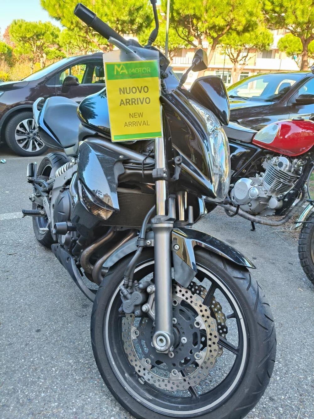 Kawasaki ER-6N (2006 - 09) (4)