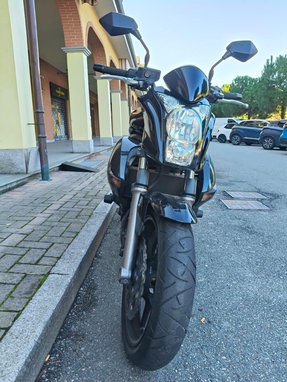 Kawasaki ER-6N (2006 - 09) (10)