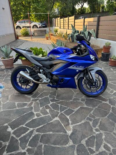 Yamaha YZF R3 (2019 - 20) usata