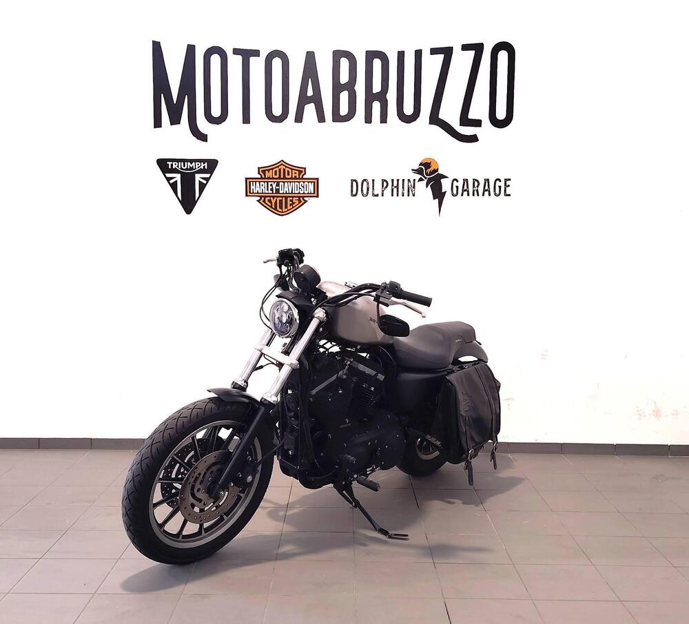 Harley-Davidson 883 R (2006 - 07) - XL 883R (4)