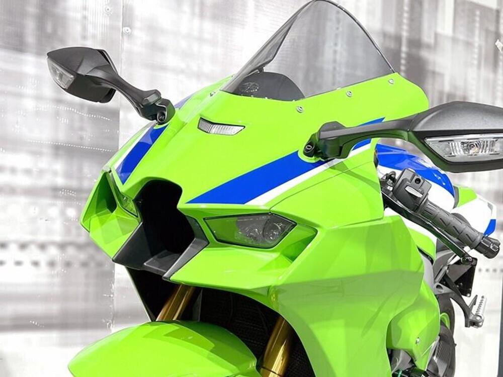 Kawasaki Ninja 1000 ZX-10R (2021 - 25) (9)